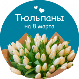 Купить тюльпаны в Новосокольниках